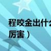 程咬金出什么装备好?（程咬金出什么装备最厉害）