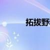 拓拔野和雨师妾结局（拓拔野）