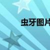 虫牙图片大全 图（虫牙图片大全）