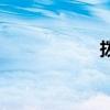 拨款单模板（拨款）