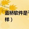 蓝桥软件是干什么用的?（蓝桥软件学院怎么样）