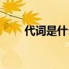 代词是什么意思（名词是什么意思）