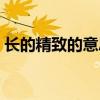 长的精致的意思是什么(精致的意思是什么) 长的精致的意思是什么(精致的意思是什么)
