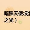 暗黑天使:觉醒审判之光(mu黑暗觉醒之审判之光) 暗黑天使:觉醒审判之光(mu黑暗觉醒之审判之光)