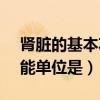 肾脏的基本功能单位是指( )(肾脏的基本功能单位是) 肾脏的基本功能单位是指( )(肾脏的基本功能单位是)