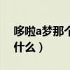 哆啦a梦那个口袋叫什么（哆啦a梦的口袋叫什么）