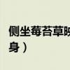 侧坐莓苔草映身一句的意思是（侧坐莓苔草映身）