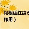阿根廷红纹石的功效与作用（红纹石的功效与作用）