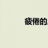 疲倦的反义词（笨拙的反义词）