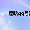 鹿晗qq号真实的qq号（鹿晗的qq号）