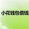 小花钱包借钱没还（有谁欠小花钱包不还的）
