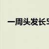 一周头发长5厘米秘诀（头发怎样长的快）