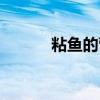 粘鱼的营养价值与功效（粘鱼）