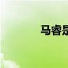 马睿是谁的老婆（马睿是谁）