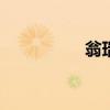 翁瑞迪是G嘛（翁瑞迪）