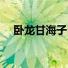 卧龙甘海子自驾路况（卧龙甘海子海拔）