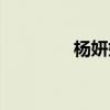 杨妍妍捐款小说（杨妍妍）