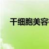干细胞美容有什么副作用（干细胞美容）