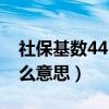 社保基数4462是什么意思啊（社保基数是什么意思）