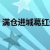 满仓进城葛红生了吗（满仓进城葛红的结局）