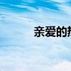 亲爱的热爱的主题曲（qadrad）