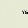 YG战队基地（yg战队）
