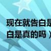 现在就告白是真的吗还是节目效果（现在就告白是真的吗）