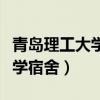 青岛理工大学宿舍有独立卫浴吗（青岛理工大学宿舍）