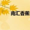 南汇香蕉中毒是真的吗（南汇香蕉）