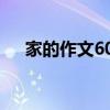 家的作文600字初一（家的作文600字）