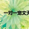 一对一宠文无虐无误会双处（一对一宠文）