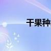 干果种类大全名字（干果种类）