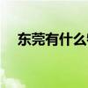 东莞有什么特产水果（东莞有什么特产）
