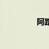 阿路龟的图片(阿路龟) 阿路龟的图片(阿路龟)