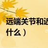 远端关节和近端关节的关系（远端关节指的是什么）