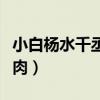 小白杨水千丞无删减版（水千丞小白杨微博补肉）