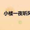 小楼一夜听风雨后一句（小楼一夜听风雨）