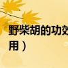 野柴胡的功效作用与主治（野柴胡的功效与作用）