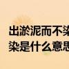 出淤泥而不染是什么意思在文中（出淤泥而不染是什么意思）
