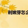 刺嫩芽怎么吃最好吃（刺嫩芽怎么吃）