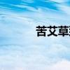 苦艾草致幻是真的吗（苦艾草）