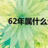 62年属什么生肖属相（63岁属什么生肖）