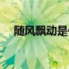 随风飘动是什么词语（随风飘动的意思）