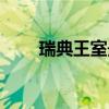 瑞典王室最奢华的王冠（瑞典王室）