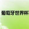 葡萄牙世界杯冠军过吗(葡萄牙世界杯冠军) 葡萄牙世界杯冠军过吗(葡萄牙世界杯冠军)