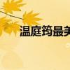 温庭筠最美的情诗（温庭筠最美的诗）