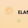 ELANTRA悦动（elantra）