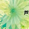 芦芽山天气（芦芽山）