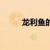 龙利鱼的做法视频（龙利鱼做法）
