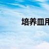 培养皿用什么方法灭菌（培养皿）